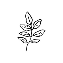 Minimalist Line Art Flower. Elegant Botanical Outline Illustrations