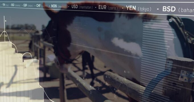 Horse head and neck being animated, leaning through wooden rails with financial chart overlays