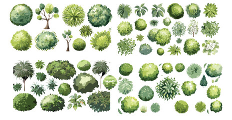 Vector set of Top view green tree for outdoor plan or map and architecture drawing, elements for environment and garden ,botanical elements ,Blooming flowers in spring,tropical plants element-