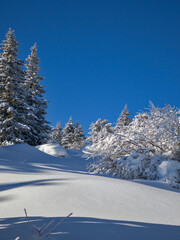 Panorama of Vitosha Mountain, Bulgaria