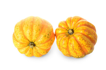 Fresh pumpkins on white background