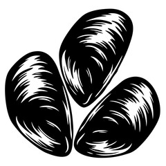 Three mussels illustration with distinctive lines, in black and white vector format © PixelArtBox