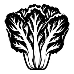 Stylized Chinese Cabbage Illustration in Black and White with Intricate Veins