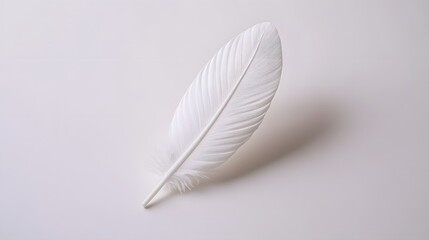Obraz premium Single White Feather on White Background Minimalist Photography