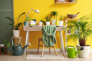 Interior of room with green plants and table