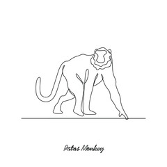 One continuous line drawing of Patas Monkey vector illustration. Primates animal themes in simple linear style vector design concept. Patas Monkey for your asset design and educational purpose.
