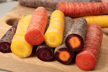 Colorful fresh raw purple, yellow, red and purple-orange carrots roots vegetables from greenhouse in the Netherlands