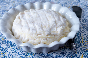 French dauphinois cheeses collection, Saint-Marcellin, Saint- Felicien cow's milk cheese with white...