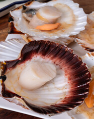 Atlantic bay scallops coquille St. James sea shells, opened in shellsand cleaned, catch of the day in Normandy or Brittany, France on fish market