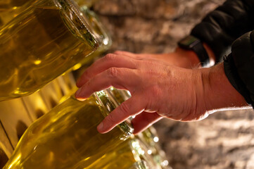 Manual riddling of champage bottles as part of traditional method of sparkling wine production....