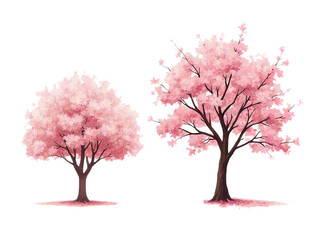 Two pink cherry blossom trees on a transparent background, one larger than the other, with detailed branches and a soft watercolor effect.