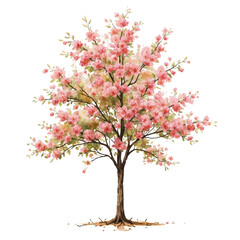 A delicate watercolor painting of a blossoming tree with pink flowers on a transparent background, showcasing intricate details in its branches and leaves.