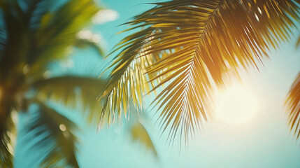 Tropical palm trees swaying in the gentle breeze against a sunny sky