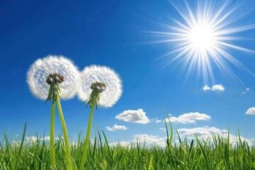 dandelions growing in a grassy field, with the sun shining brightly behind them The focus is on one or two large, white, fluffy seeds that have gracefully opened up and become attached Generative AI
