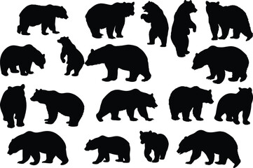 Set of bear silhouette vector illustration, bear in various pose