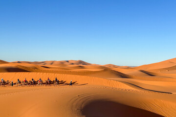 Tourists in the Sahara Desert on a camel caravan