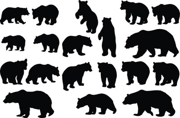 Set of bear silhouette vector illustration, bear in various pose