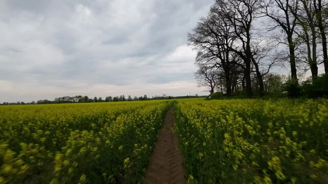 nature fast flay drone fpv drone shot