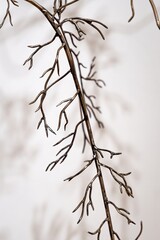  Detailed view of a metal sculpture with branch-like forms against a neutral background.