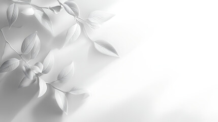 A white background with a leafy branch on it