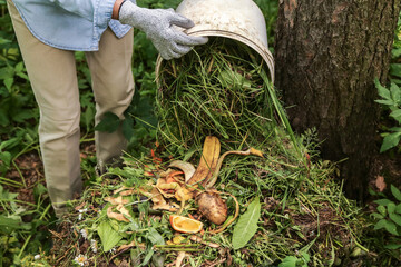Compost heap pile with bio waste. Farmer with vegetables and fruits food scraps and grass in bucket...