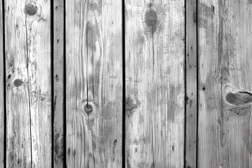 Fototapeta premium Weathered gray wood planks