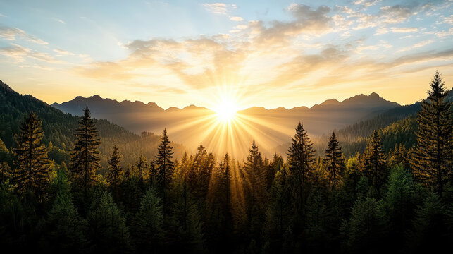 Breathtaking sunrise over forested mountain range, illuminating trees with golden light