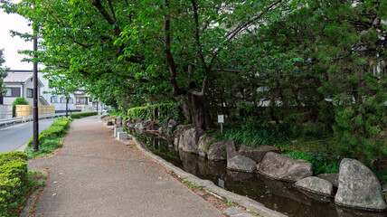 小川が流れる遊歩道