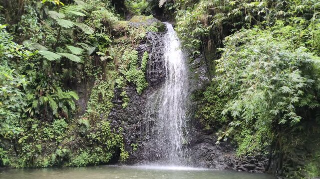 The Saut du Gendarme (SDG) waterfall near the D1 road (Fonds-Saint-Denis, Martinique, France)