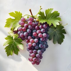 Fototapeta premium A vibrant cluster of green and purple grapes accompanied by lush green leaves, isolated against a white background