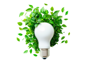 Light bulb surrounded by green leaves representing eco-friendly energy solutions isolated on transparent background