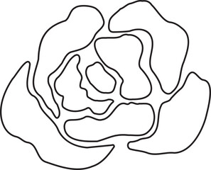 Abstract Flower Minimalist Line Art Hand Drawn
