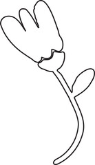 Abstract Flower Minimalist Line Art Hand Drawn