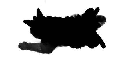 A silhouette of a cat