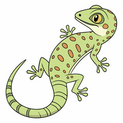 green lizard on white