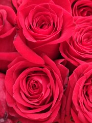 Bouquets of bright red roses to give to someone special.,Ramos de rosas rojas brillantes  para regalar  a alguien  especial. (121).