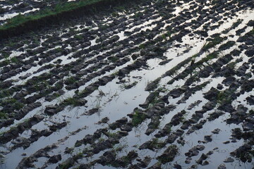 Naklejka premium aerial view of a field