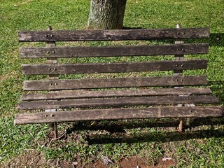 bench in the park