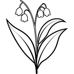 lily of the valley flower line art vector isolated on white background