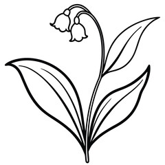 lily of the valley flower line art vector isolated on white background