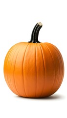Pumpkin Studio Shot