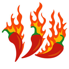 Flaming Chili Illustration