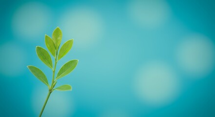 Obraz premium Immerse yourself serene turquoise blur bokeh adorned delicate leaf patterns offering ample empty space versatile concept modern eco friendly spring banner decorations elegant Christian cards