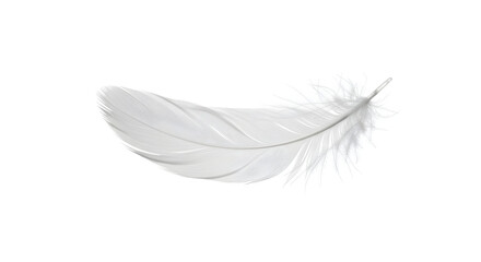 Obraz premium Serene Elegance A White Feather Symbolizing Tranquility And Purity