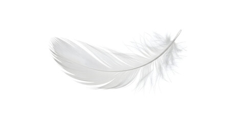 Obraz premium Elegant White Feather Displaying Delicacy Against A Pure Background