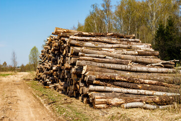 Lumber prepared for removal near a forest clearing