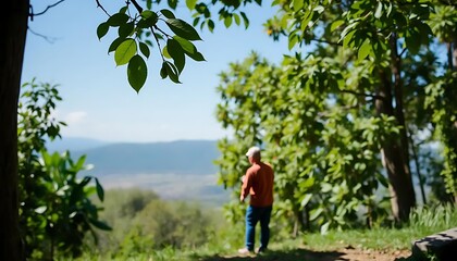 Contemplative pause: Man admiring landscape from a verdant hilltop viewpoint