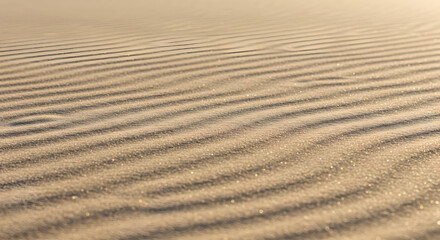 Obraz premium Golden Sand Dunes Creating an Abstract Natural Pattern In the Sunlight