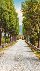 Obraz premium A stony path is lined with trees leading to a villa at the end of the road. The road is lined with large stones. Image printed on a vintage postcard.