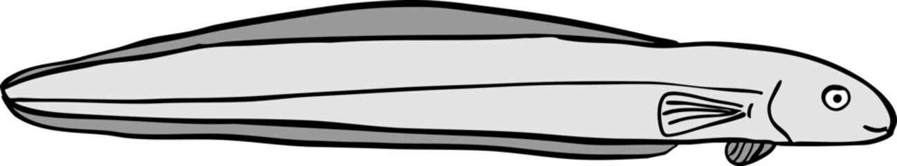 Obraz premium 장어 일러스트